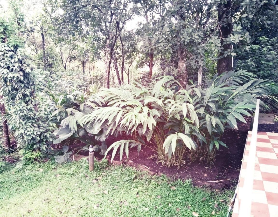 Hotel Hill Mist Thekkady Exterior foto